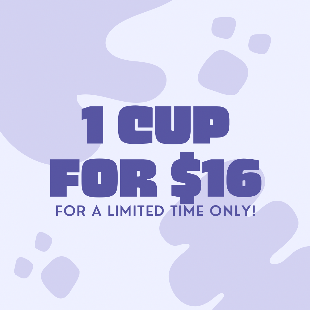 Glass cup live sale! 1 for $16