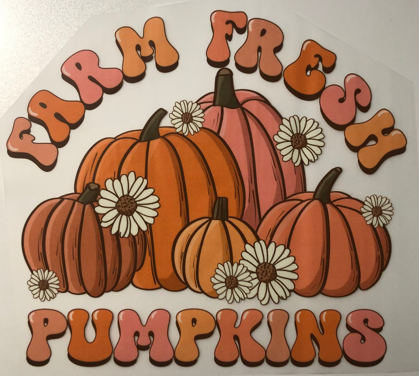 Fall and spooky season transfer